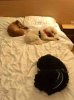 Juli sharing the bed with Poppy and Hendrix, on their journey from Cheshire to their new home in Alicante, Spain.